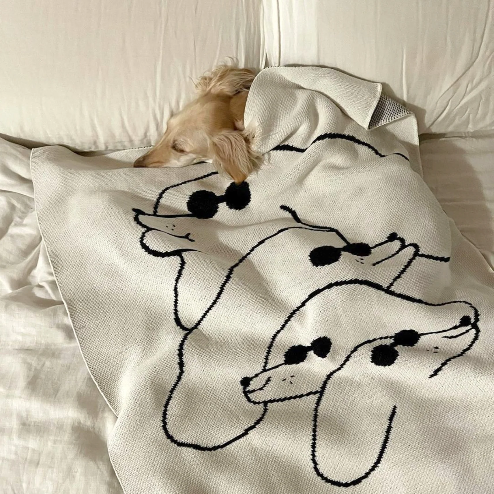 Dawgs Mini Blanket - Image 3